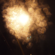 Illustration for article titled Shooting Challenge: Bokeh, Gallery 4